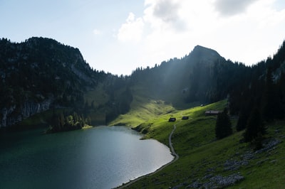 白天青草田与山间的河流